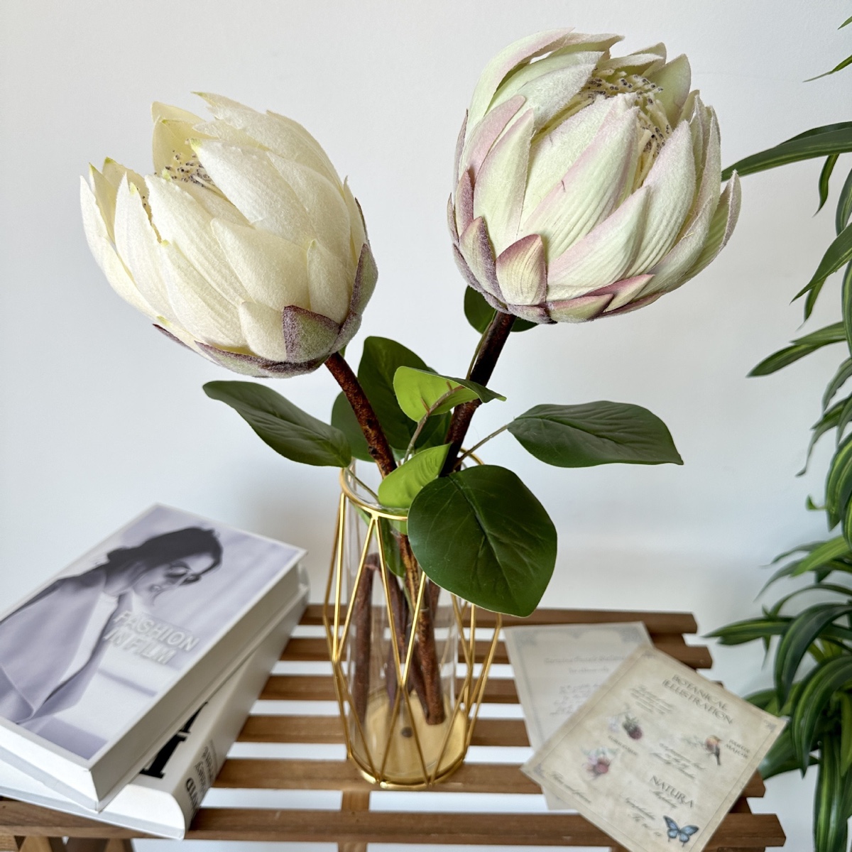 Sculptural Protea Arrangement Set