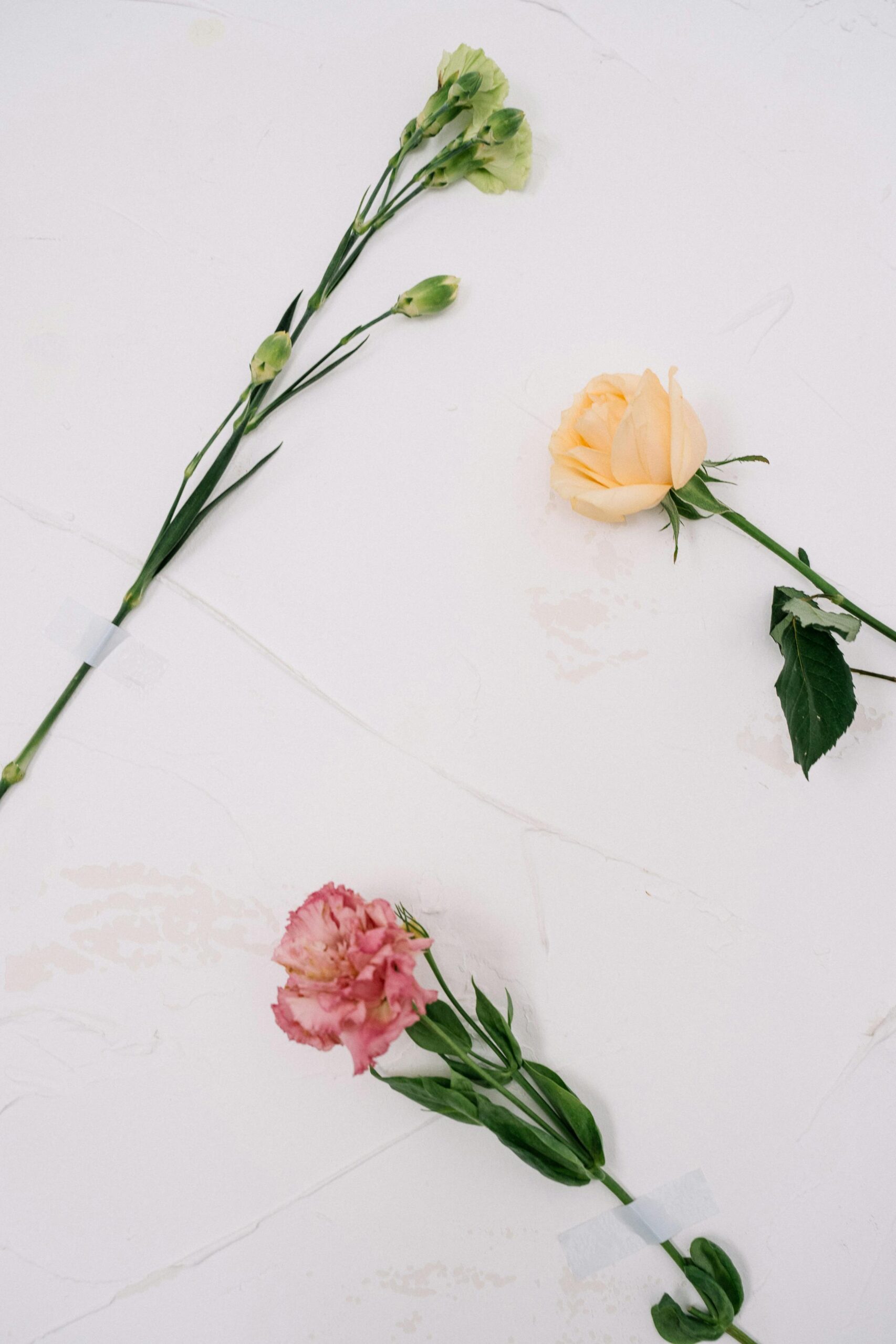 White Artificial Flower Stems